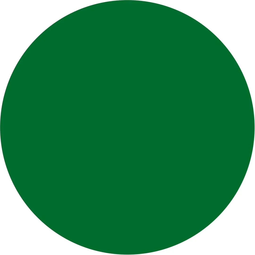 L'Oréal Paris Colorista Jelly Green 20g