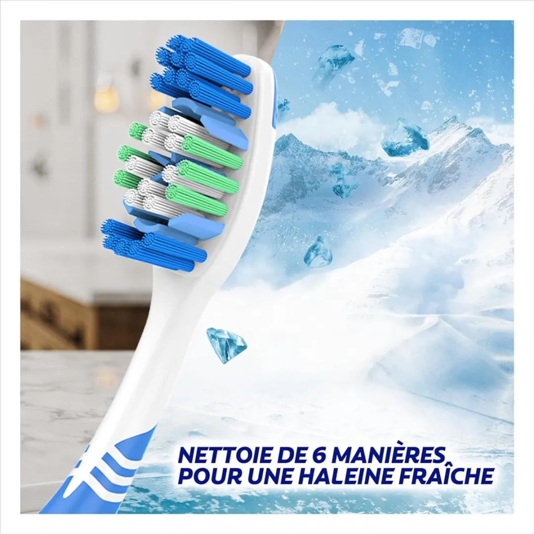 Colgate Max Fresh Tandenborstels - 12 Stuks - Medium - Bonte kleuren