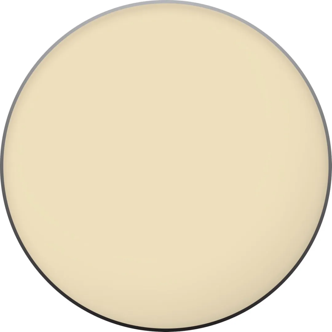 Bourjois Intense Oogschaduw 01 Golden Beige - 1g