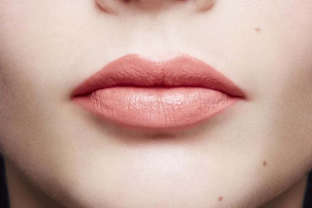 L'Oréal Paris Infallible Matte Lippenstift 201 Hollywood Beige