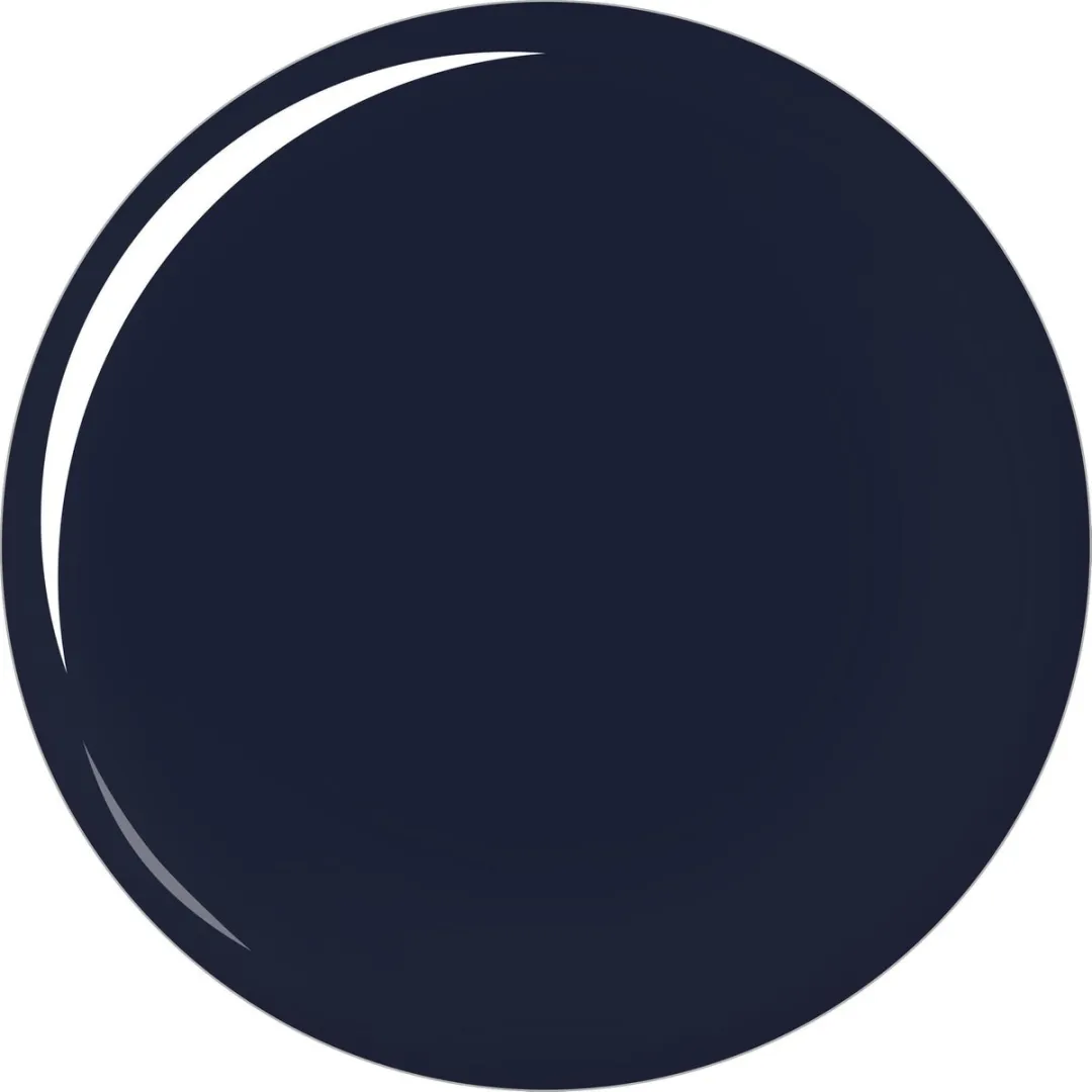 L'Oréal Paris Color Riche LeVernis 701 Midnight Mistress - 5ml - Blauw