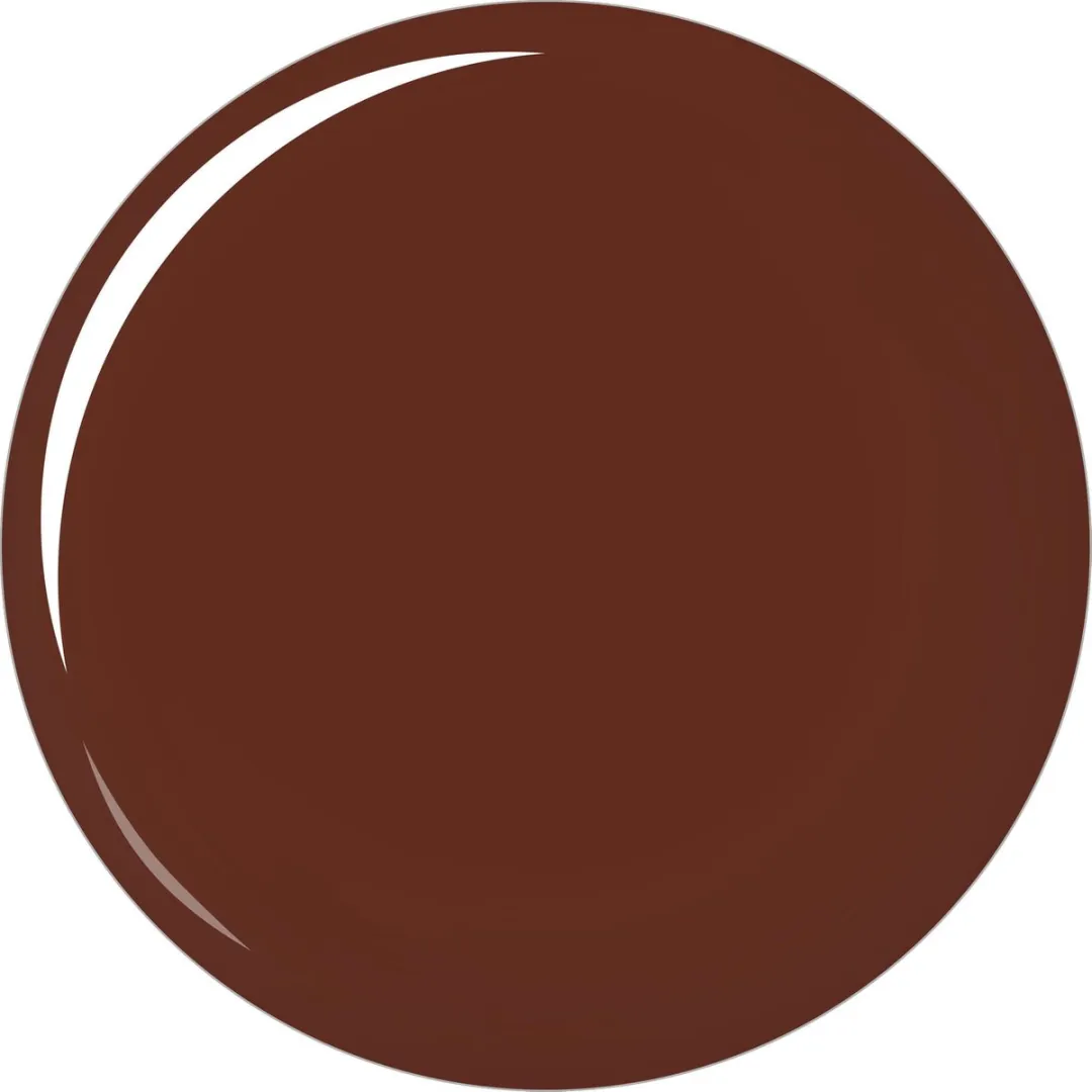 L'Oréal Paris Color Riche Lippenstift 230 Pashemine