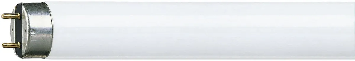 Philips TL-lamp G13