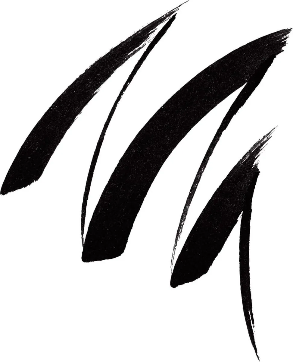 Maybelline Master Eye Liner Curvy Black 1.1ml