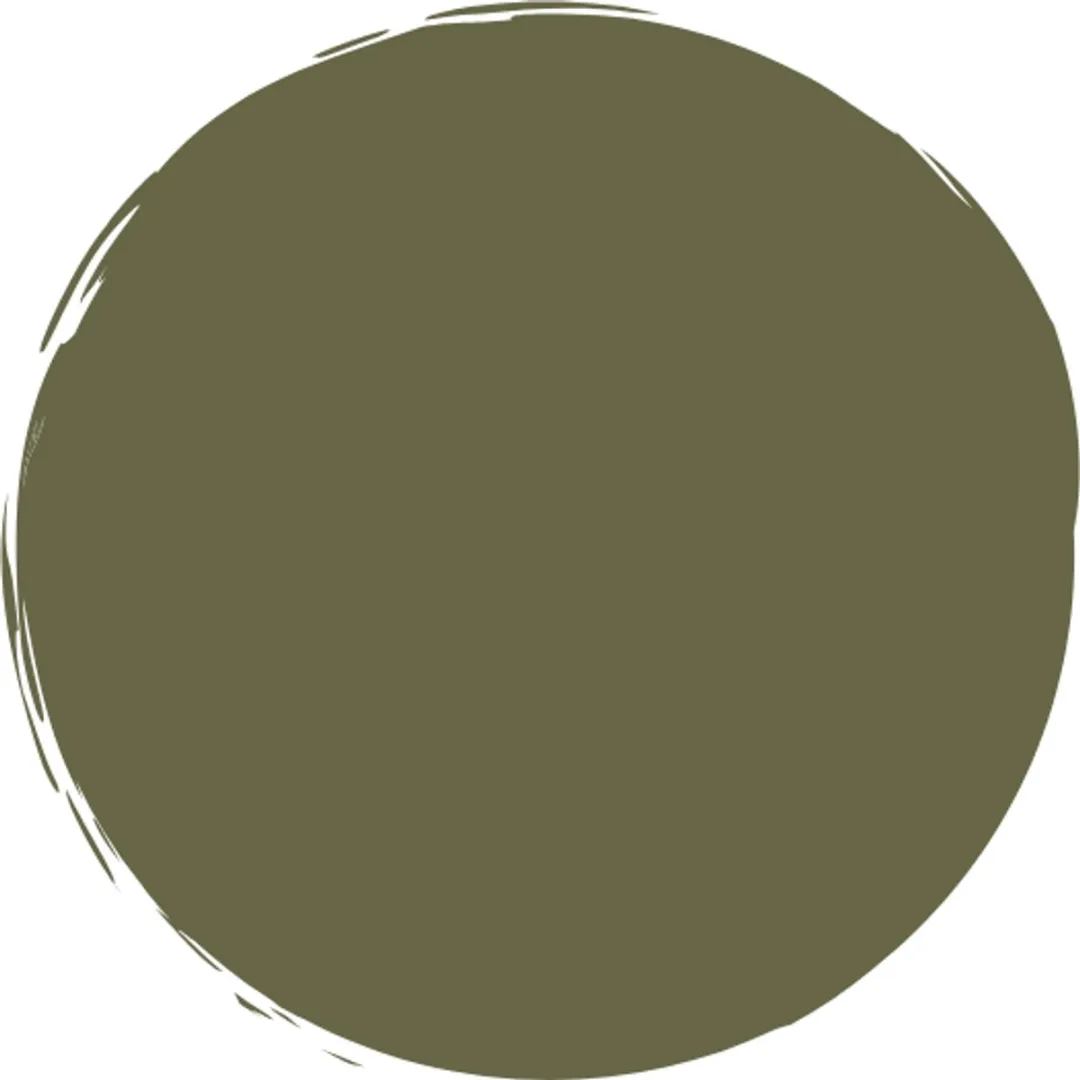 Maybelline Colorshow Vintage Leather Nagellak 208 Sage Staple Green