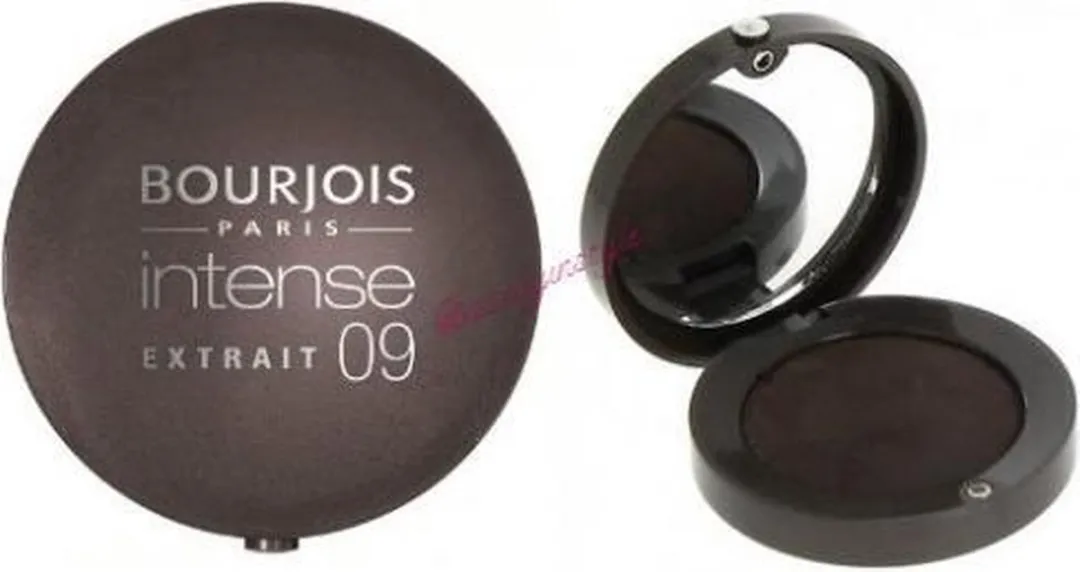 Bourjois Little Round Pot Intense Oogschaduw 09