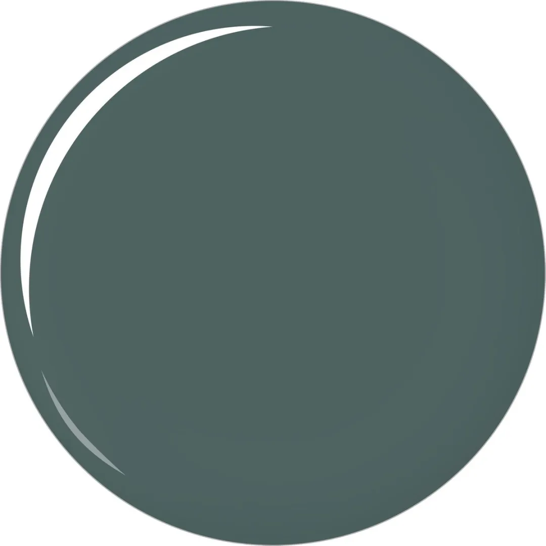 L'Oréal Paris Color Riche LeVernis 608 Grey - 5ml