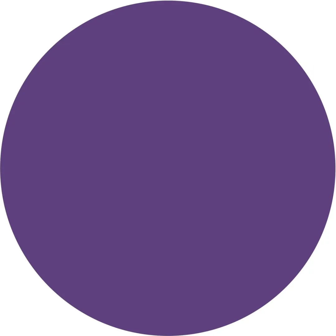 L'Oréal Paris Colorista Purple Haar Make-up - 1 Dag