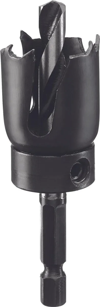Bosch Carbon Gatenzaag 25mm