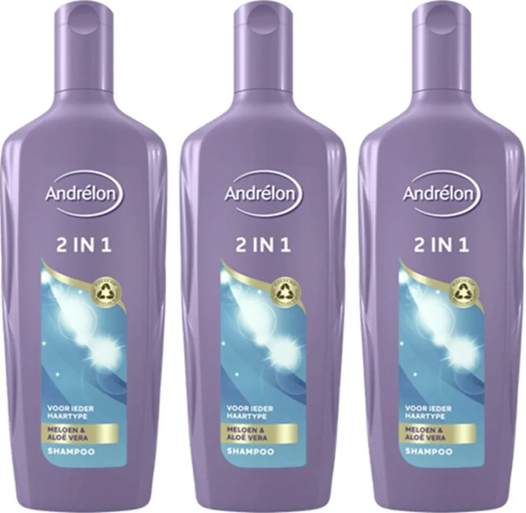 Andrélon Shampoo 2in1