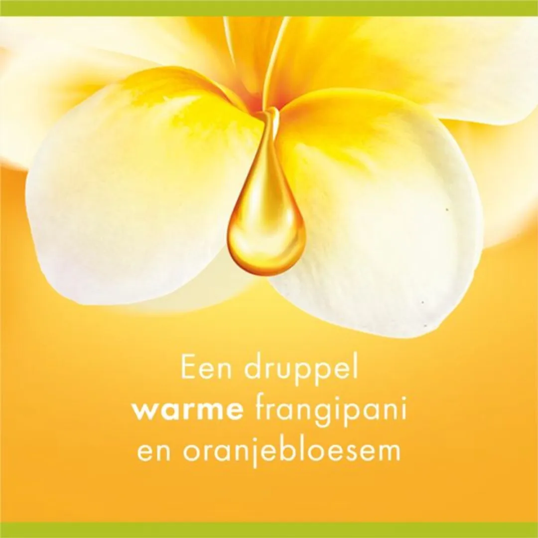 Palmolive Douchegel Aroma Essence Forever Happy 250ml - 7 Stuks