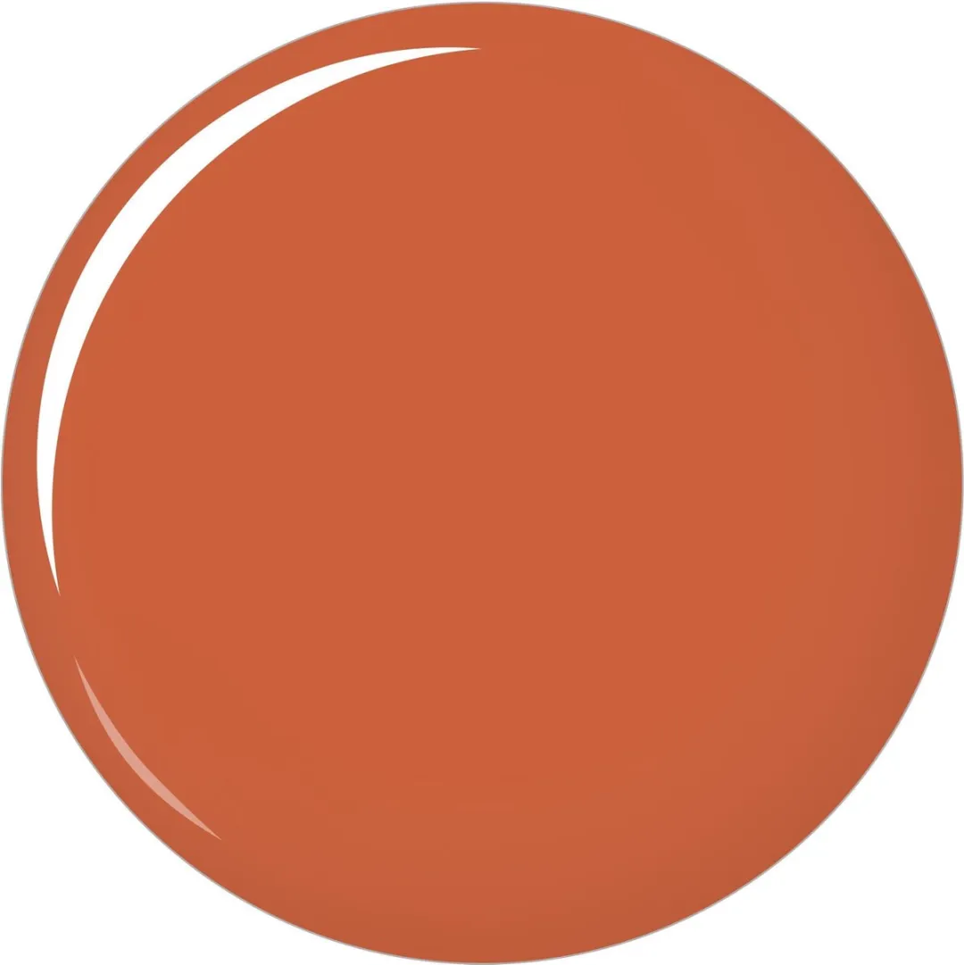 L'Oréal Paris Color Riche Barra 275 Oranje & Chocolade - 3ml