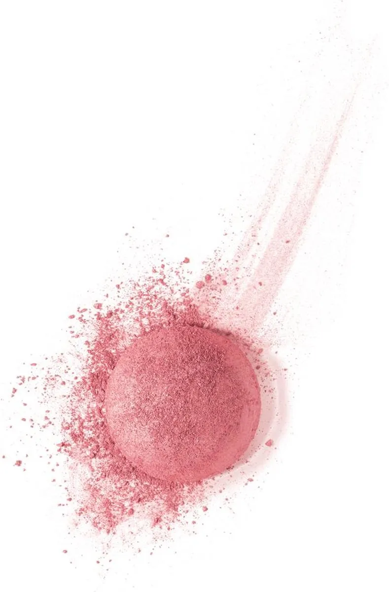 Bourjois Little Round Pot Blush 095 Rose De Jaspe - 2g
