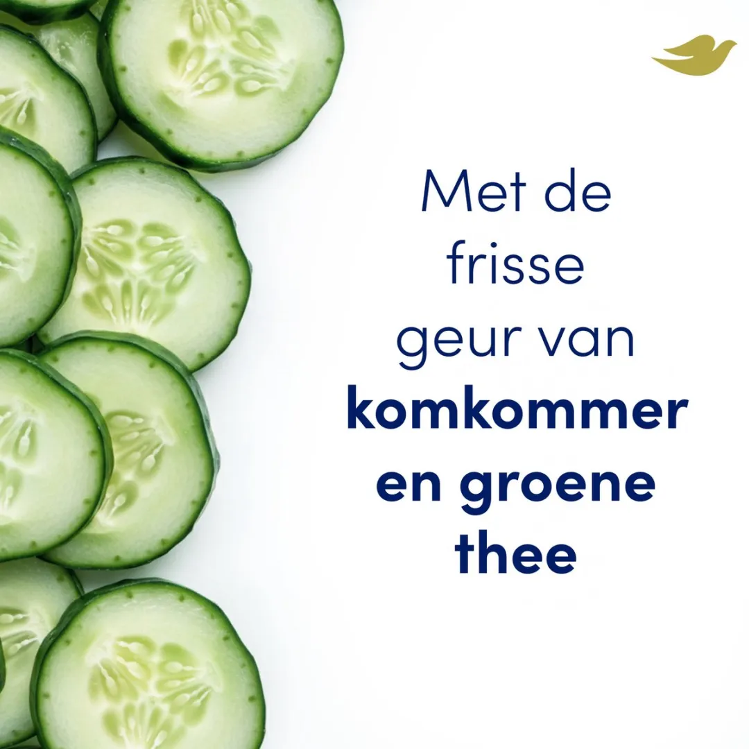 Dove Anti-Transpirant Stick Advanced Care Komkommer & Groene Thee - 6x50ml