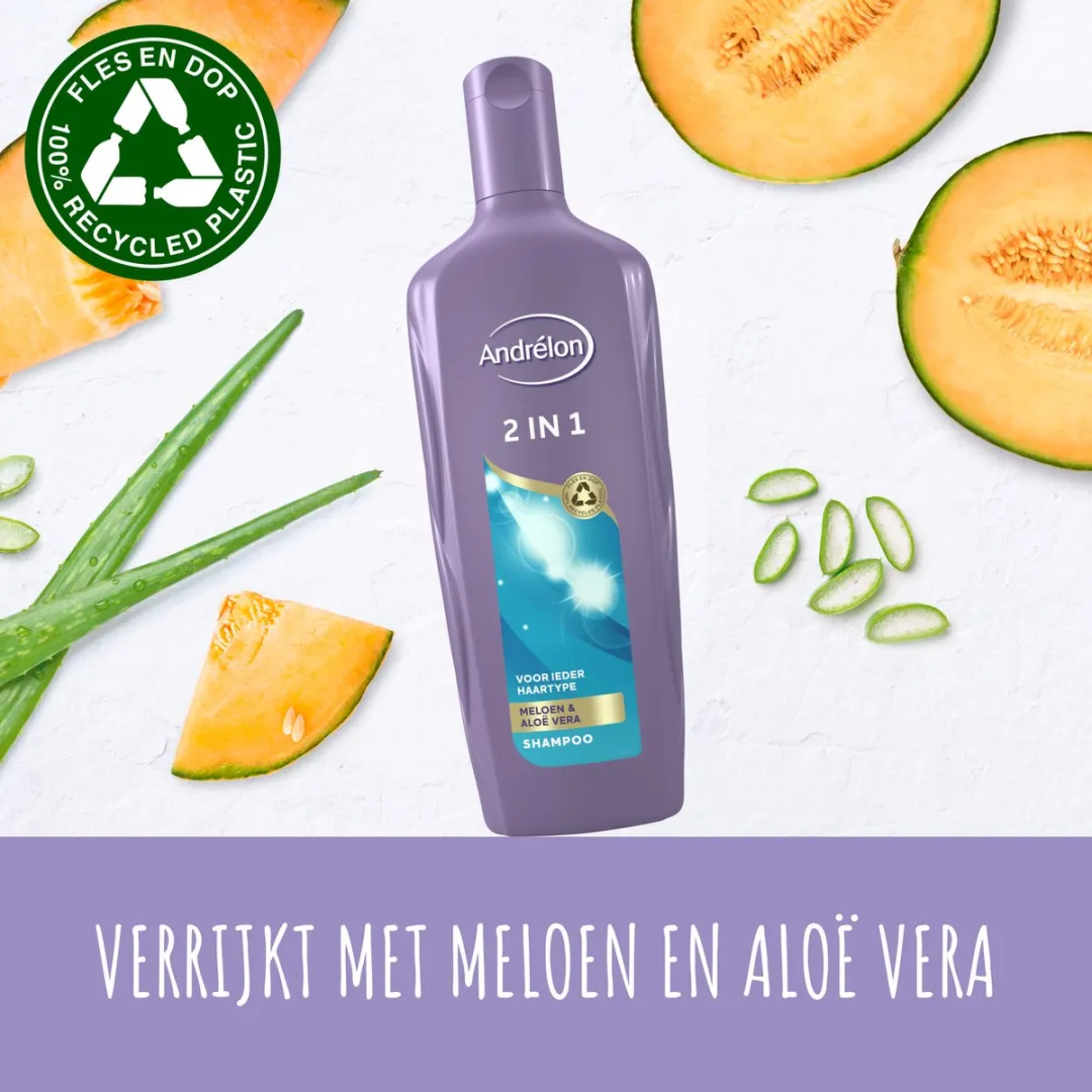 Andrélon 2-in-1 Shampoo & Conditioner 6x300ml