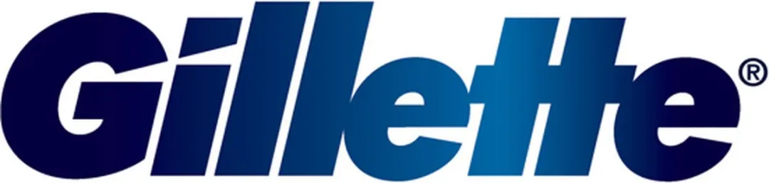 Gillette 2 Wegwerpscheermesjes - 48 Stuks (4x12) - Blauw