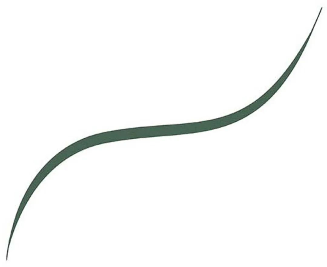 L'Oréal Paris Infaillible Micro Fine Eyeliner Potlood 05 Sage Green