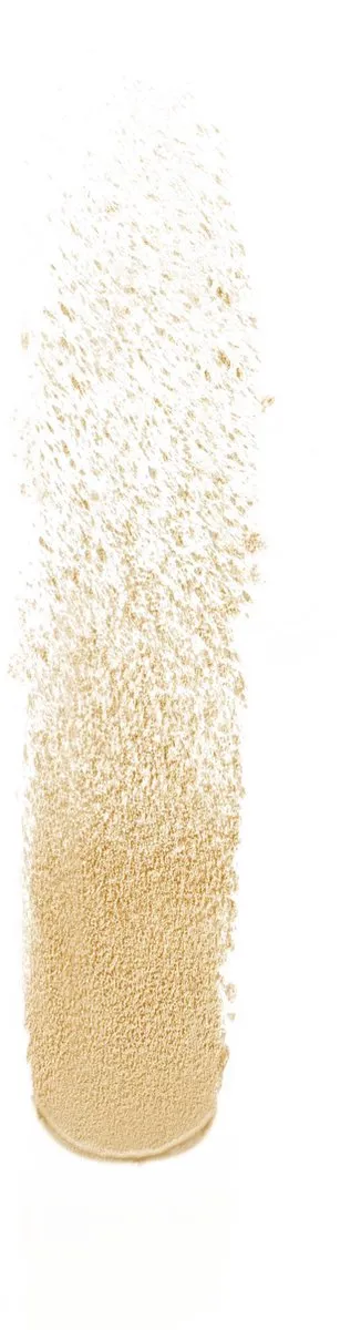 Bourjois Air Mat Powder 04 Light Bronze - 10g