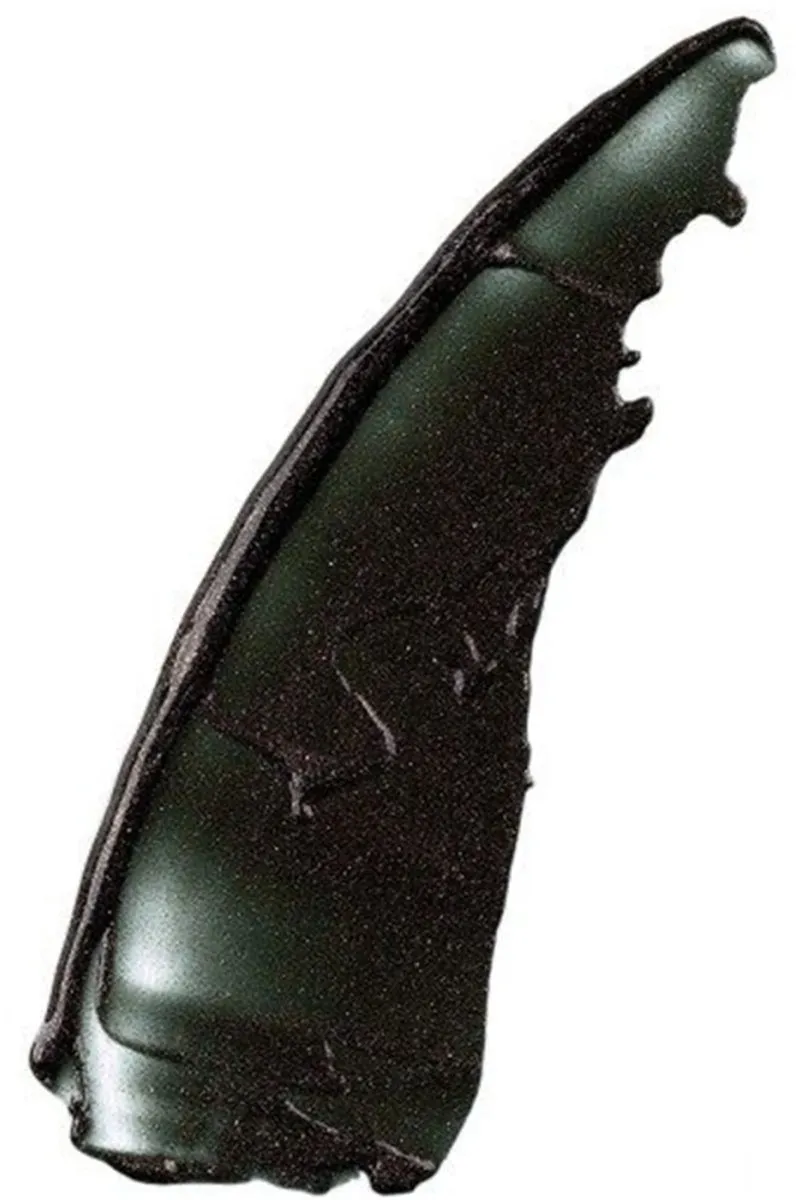 Maybelline Glitter Fix Lipgloss 80 Shadow Hunter - 5ml
