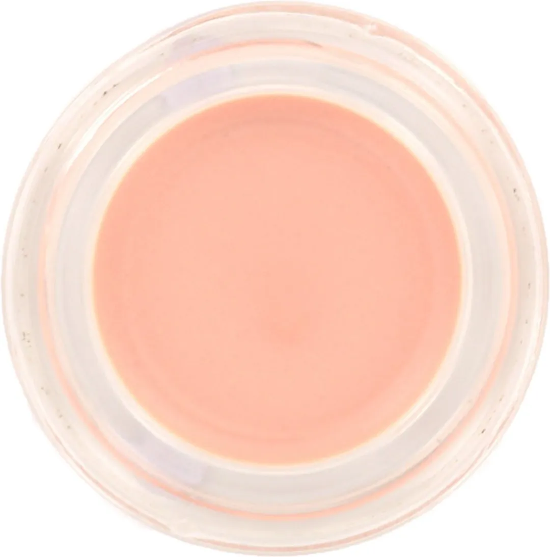 L'Oréal Paris Isabel Marant Shine Beautifier
