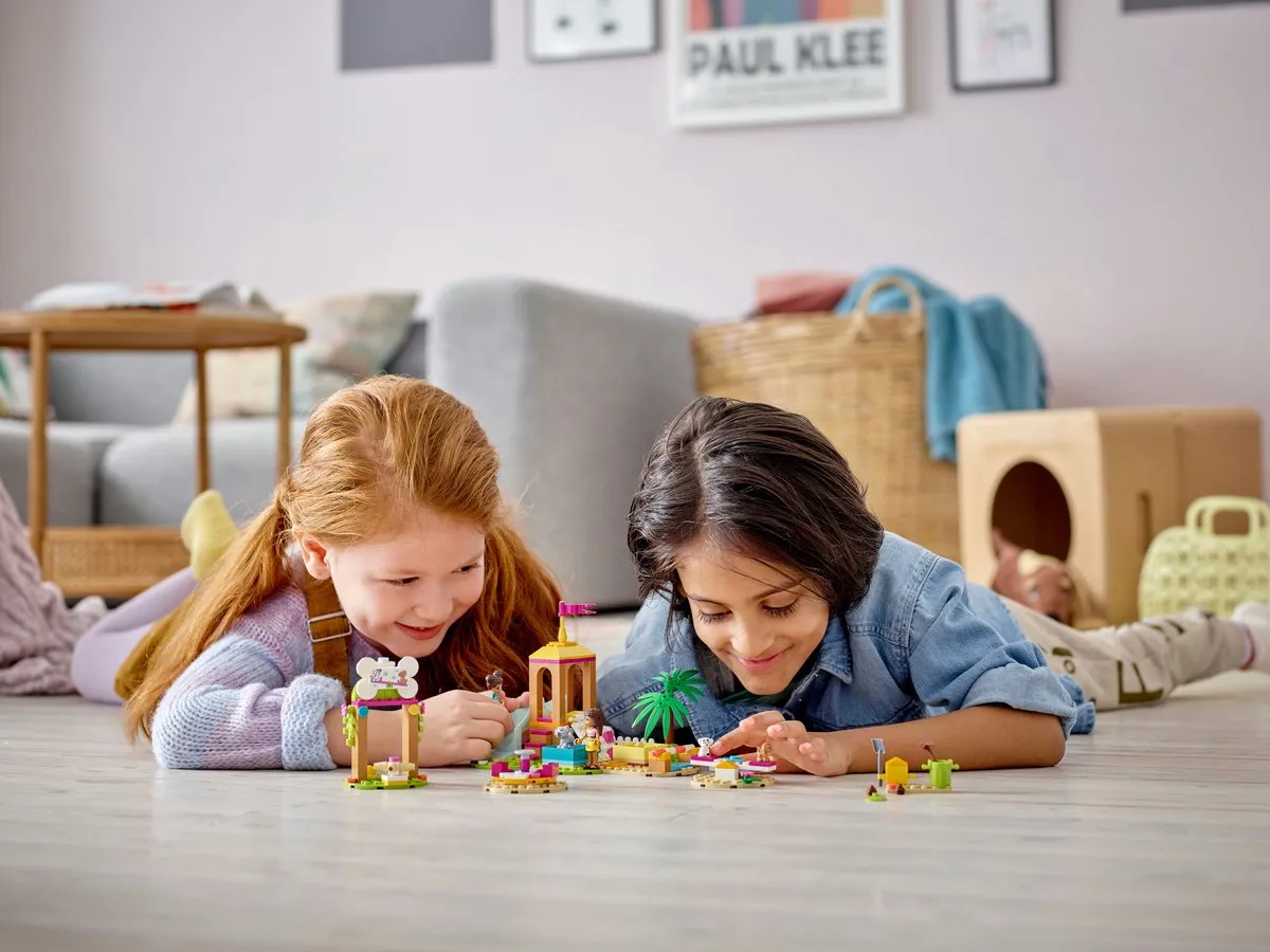 LEGO Friends Dierenspeeltuin 41698 - 210 Stukken