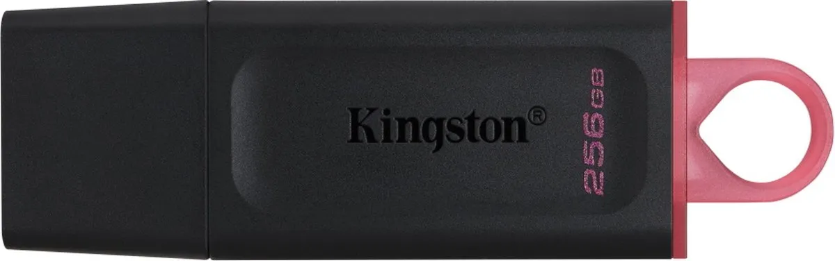 Kingston Exodia DTX/256GB USB Stick 256GB - Roze