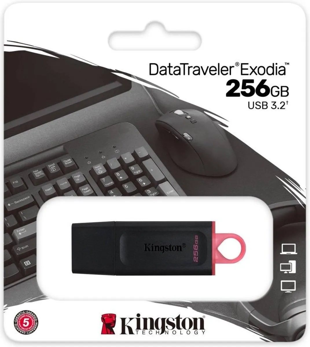Kingston Exodia DTX/256GB USB Stick 256GB - Roze