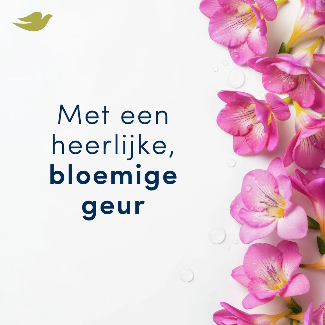 Dove Deodorant Roller Fresh Invisible 0% Aluminiumzouten - 6x50ml - afbeelding 5 van 6