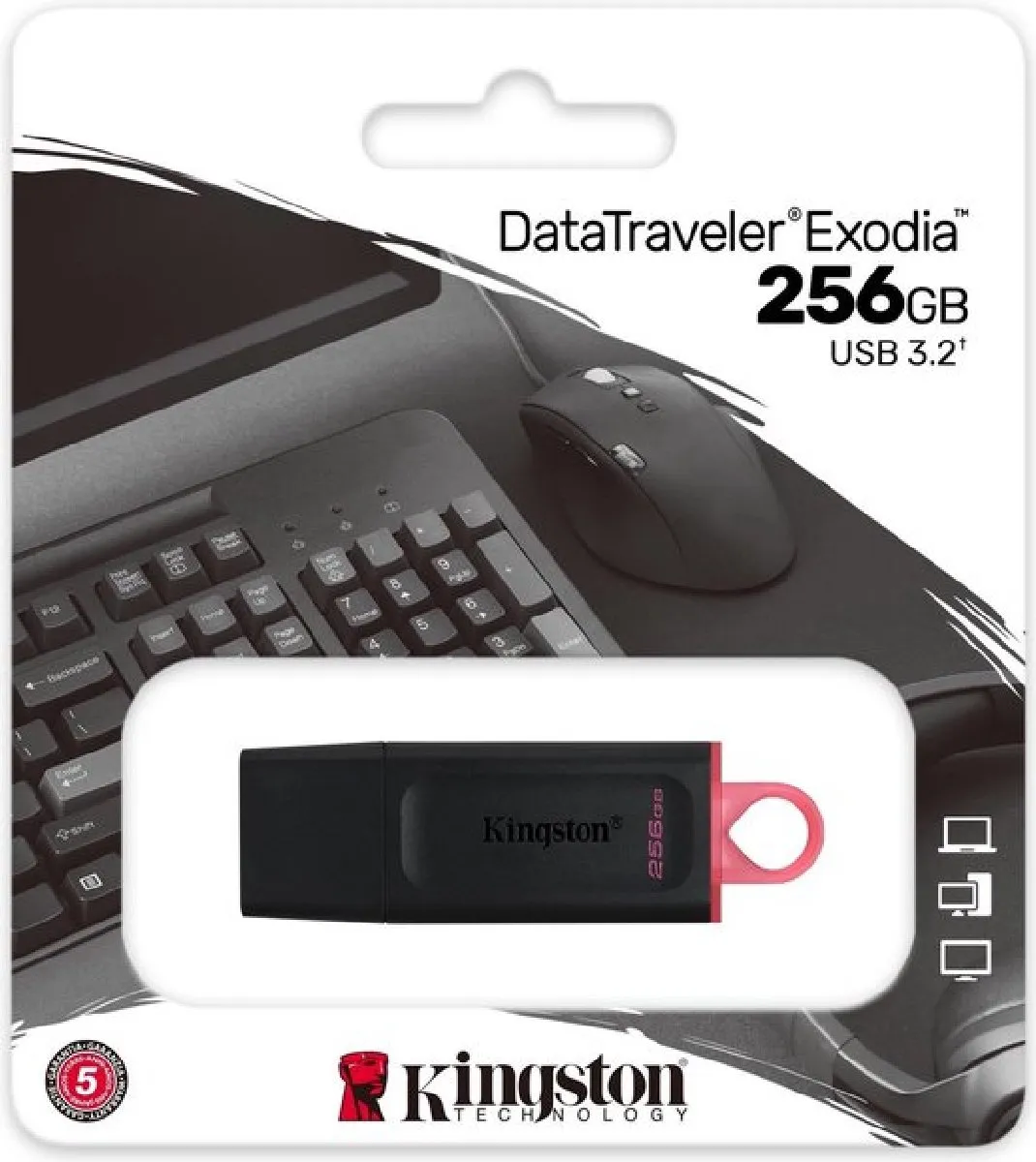 Kingston DataTraveler Exodia DTX/256GB USB 3.2 Gen 1 - 256GB - Zwart