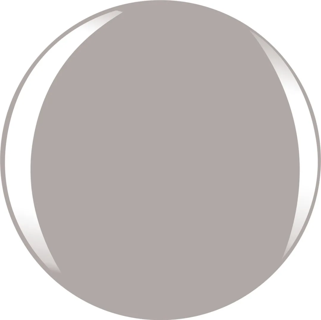 L'Oréal Paris Color Riche Le Vernis 888 Mademoiselle Grey - 5ml