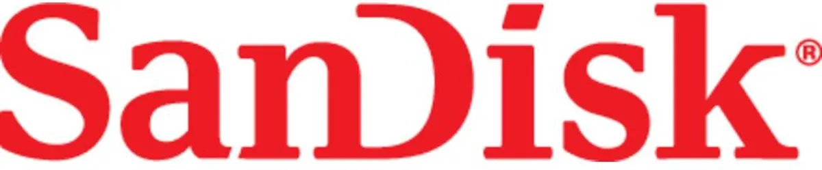 SanDisk Cruzer Blade USB Stick 32GB - Zwart