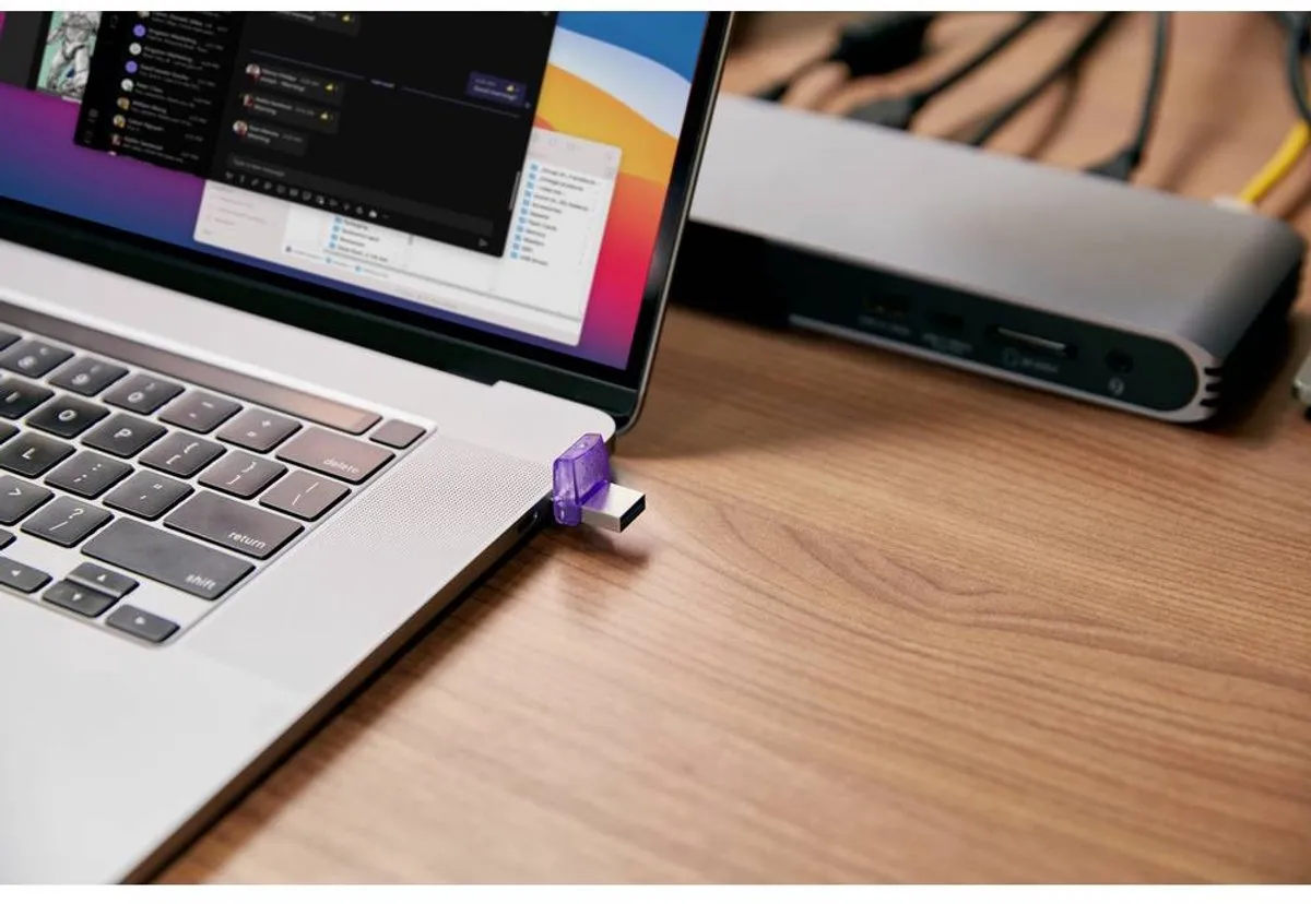 Kingston DataTraveler microDuo 3C DTDUO3CG3/256GB USB-stick 256GB - RVS Violet