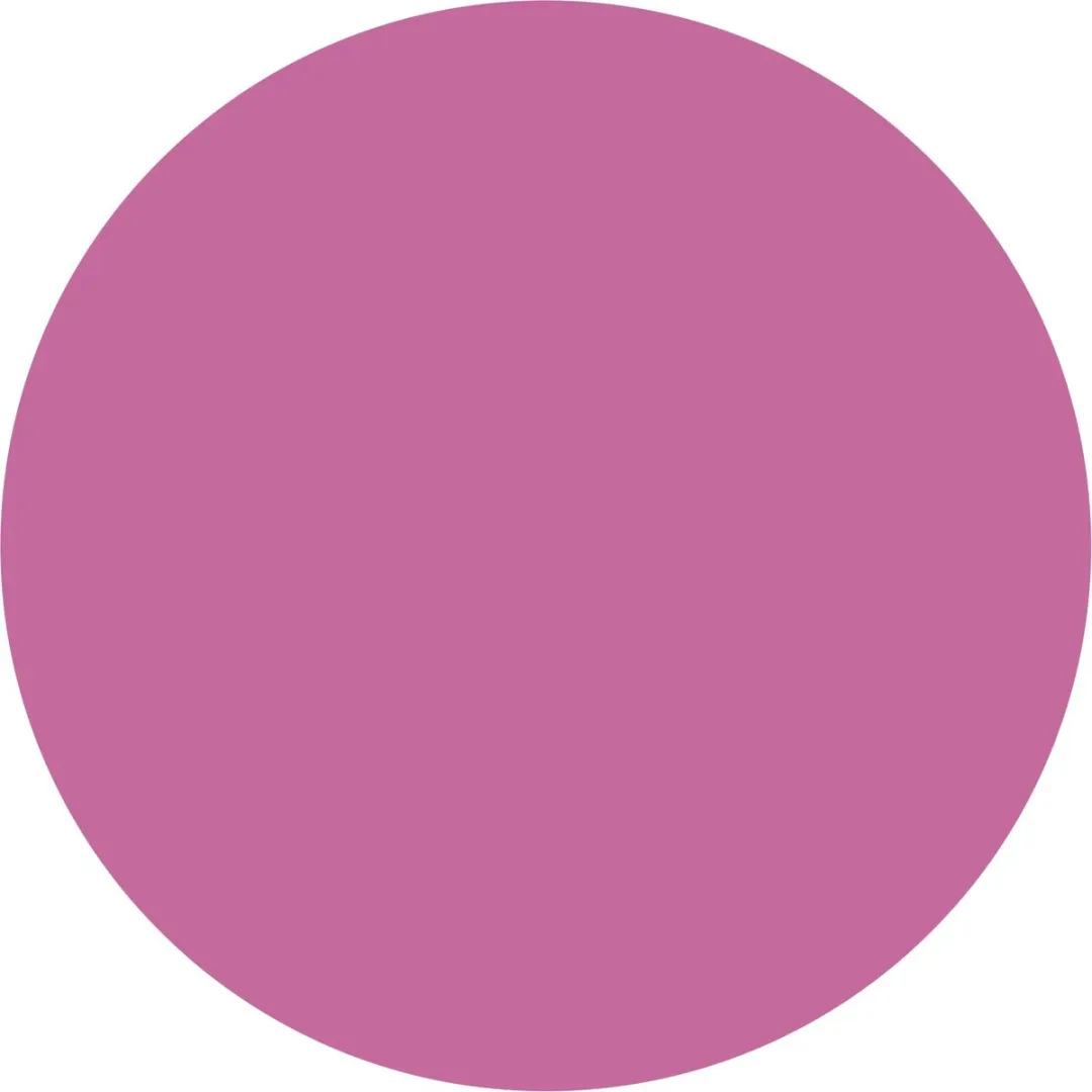 L'Oréal Paris Colorista Hair Makeup Purple
