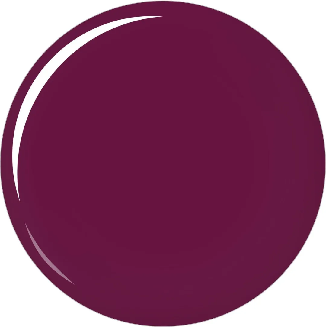 L'Oréal Paris Color Riche Lipstick 462 - Donkerpaars