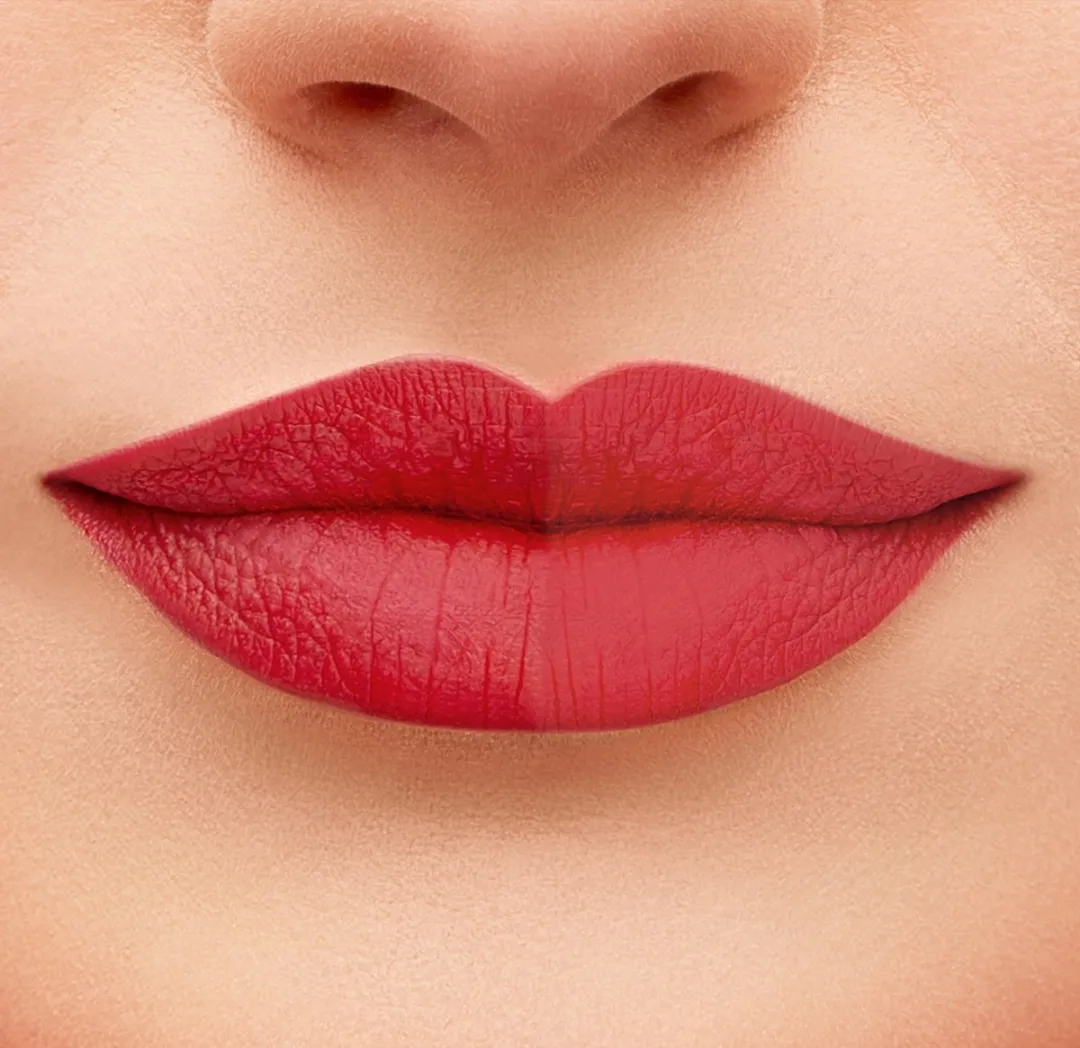 Bourjois Fabuleux Liptransformer 01 Matte - 6ml