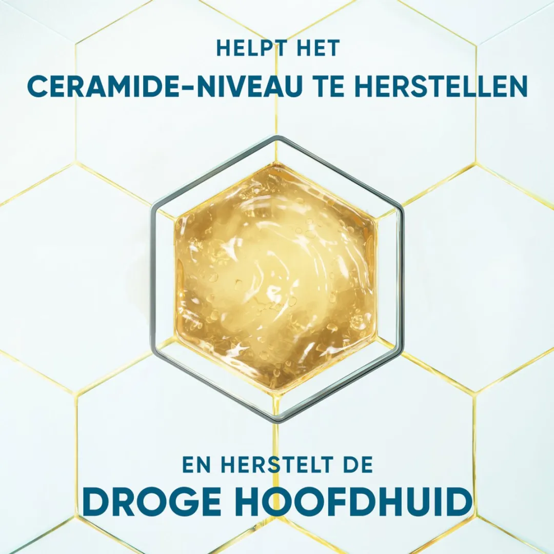 Head & Shoulders DermaXPro Hydraterende Anti-roos Shampoo Kokosolie - 6x250ml