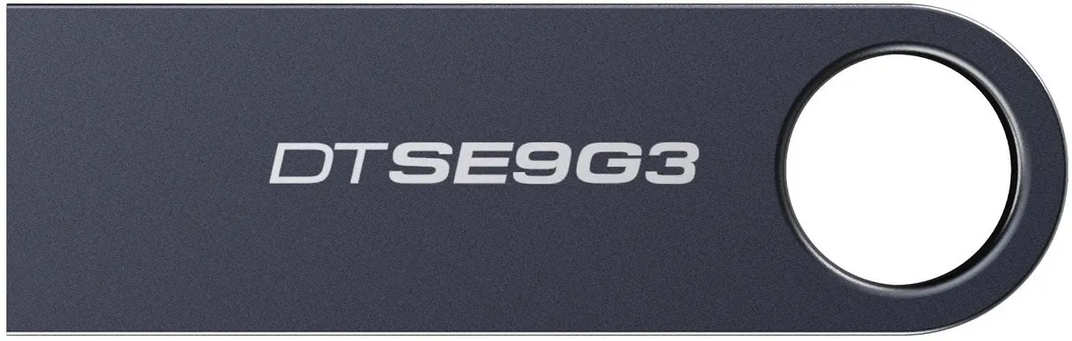 Kingston DataTraveler SE9 G3 256GB - USB 3.2 Gen 1 - Zwart
