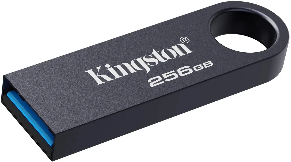 Kingston DataTraveler SE9 G3 256GB - USB 3.2 Gen 1 - Zwart