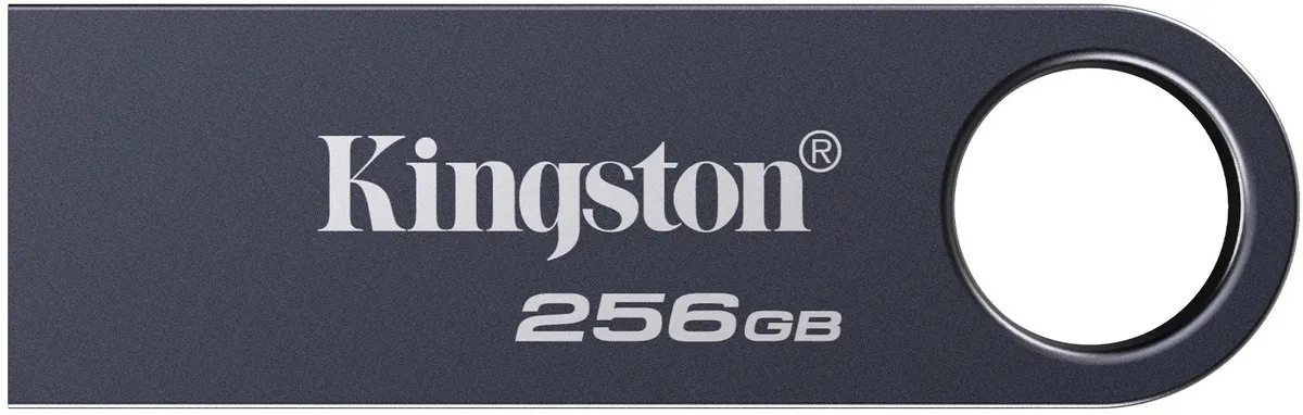 Kingston DataTraveler SE9 G3 256GB