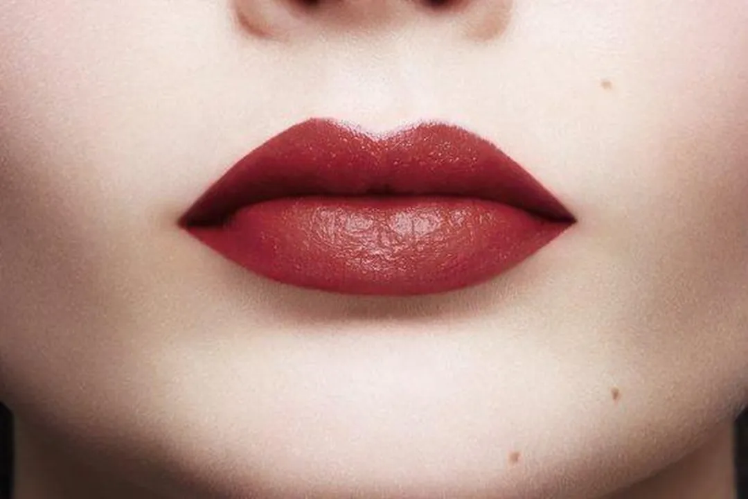 L'Oréal Paris Infallible Lip Paint Matte 205 Apocalyps - 8ml