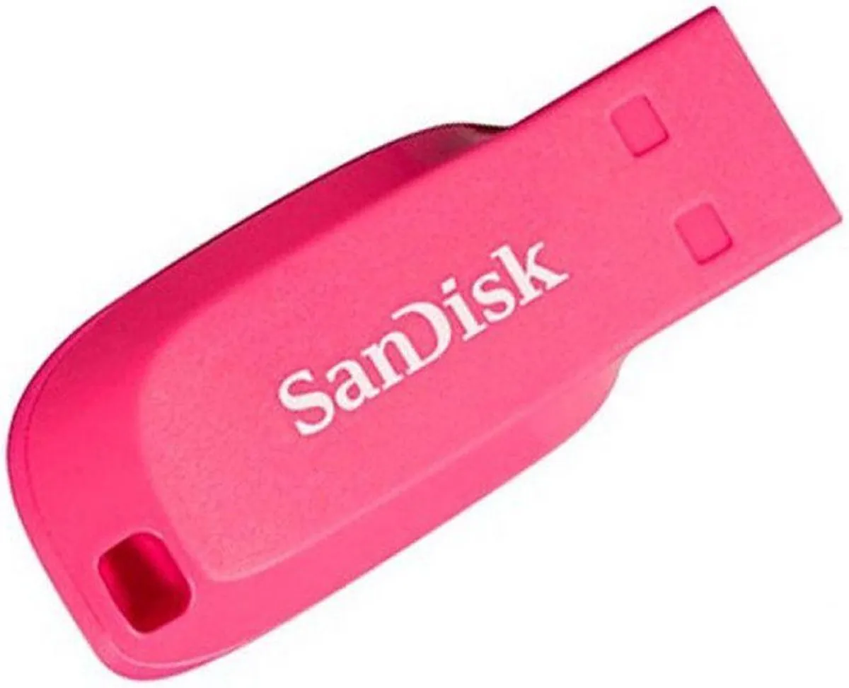 SanDisk Cruzer Blade 16GB USB-stick - Roze