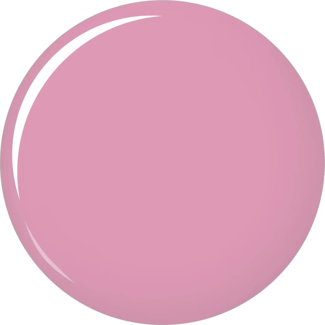L'Oréal Paris Make-Up Designer Color Riche Lippenstift - Roze