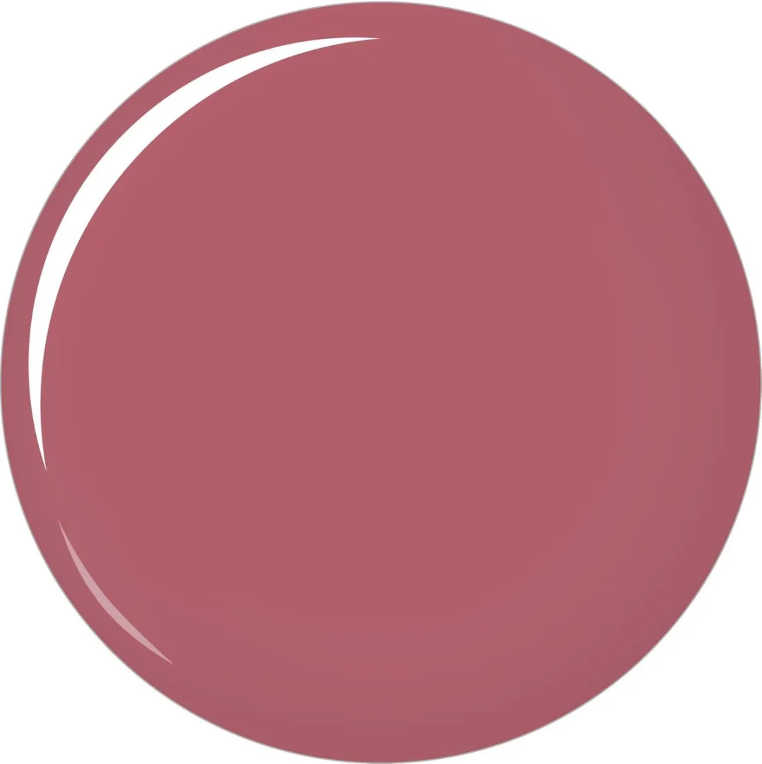 L'Oréal Paris Color Riche Lipstick 256 - Mauve