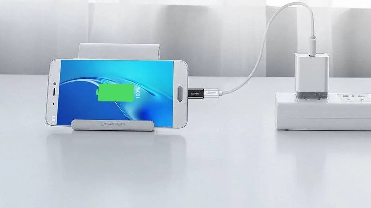Ugreen USB naar USB-C Adapter 30391 - Zwart
