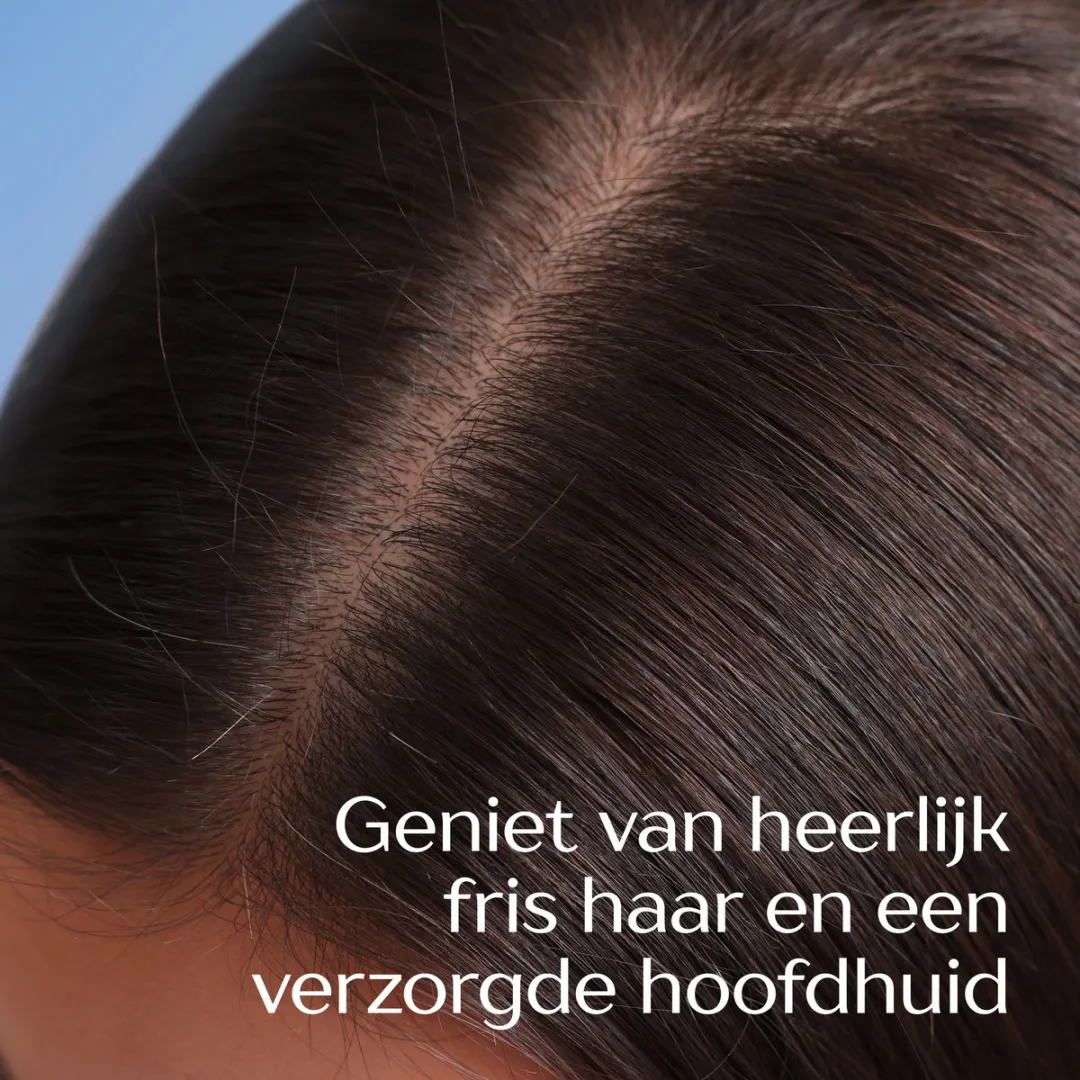Andrélon Anti-Roos Shampoo 6x250ml