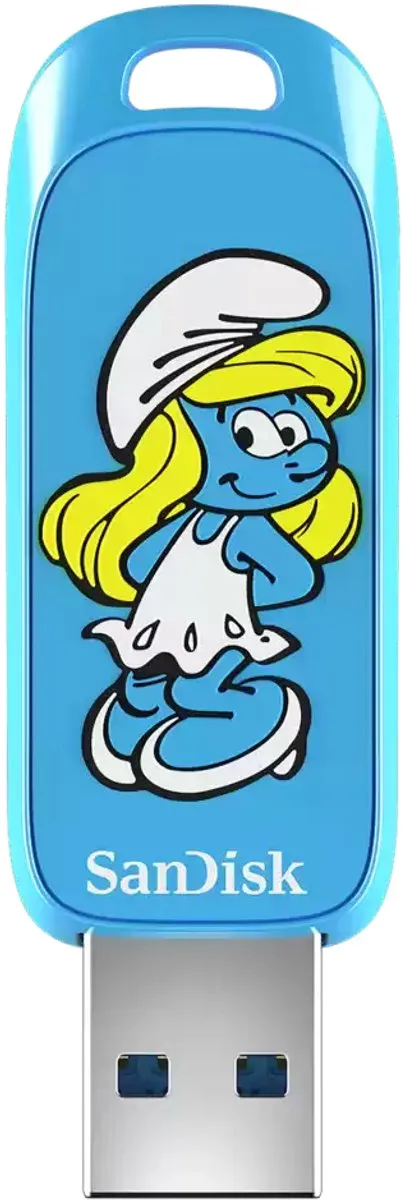 SanDisk USB Smurf 256GB