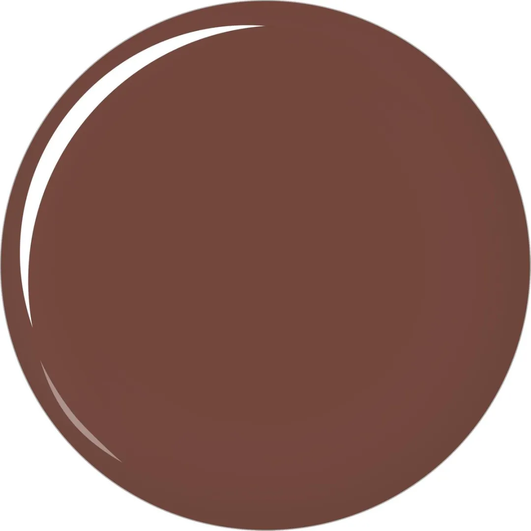 L'Oréal Paris Color Riche Lipstick 291 Fever Brown - 4.3g