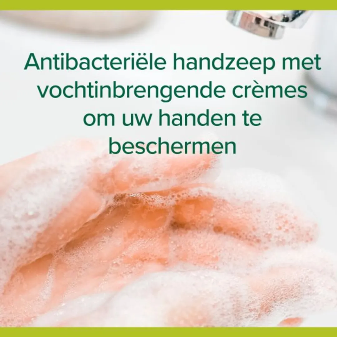 Palmolive Handzeep Hygiëne Plus Family 3x300ml