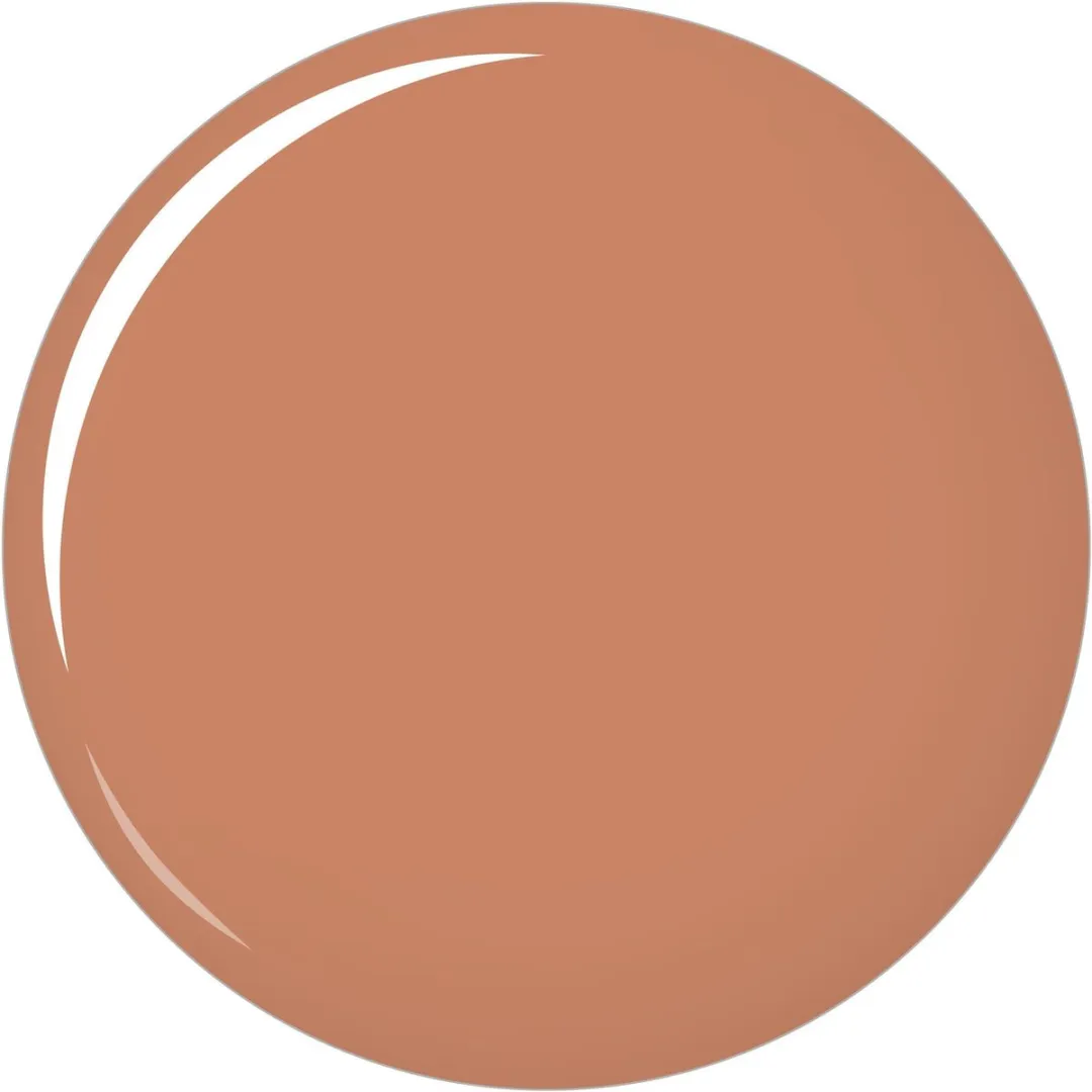 L'Oréal Paris Caresse Lipstick 505 - Lichtbruin
