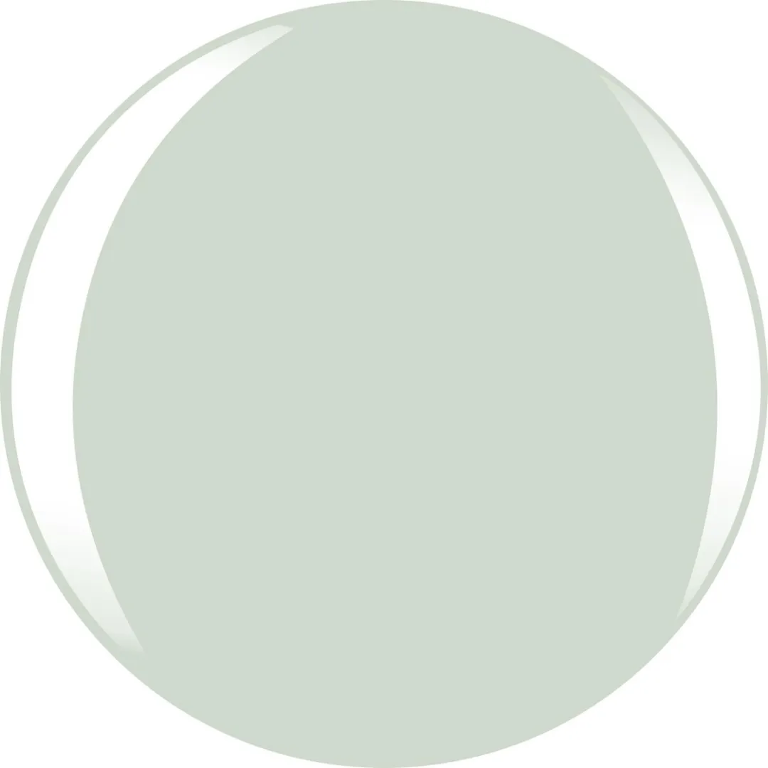 L'Oréal Paris Color Riche Nagellak 852 Pistachio Dragee - 5ml